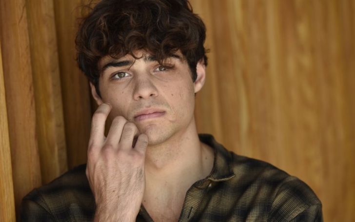 Noah Centineo Net Worth - The Complete Breakdown
